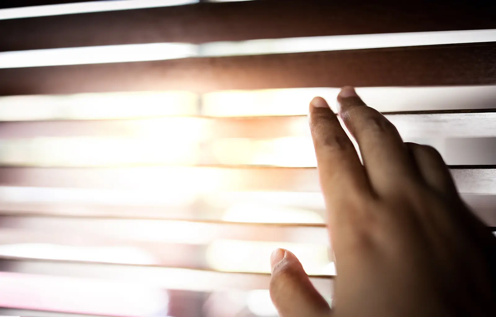 Florida Squatter Laws: Handling Unauthorized Occupants in Your Rental Property