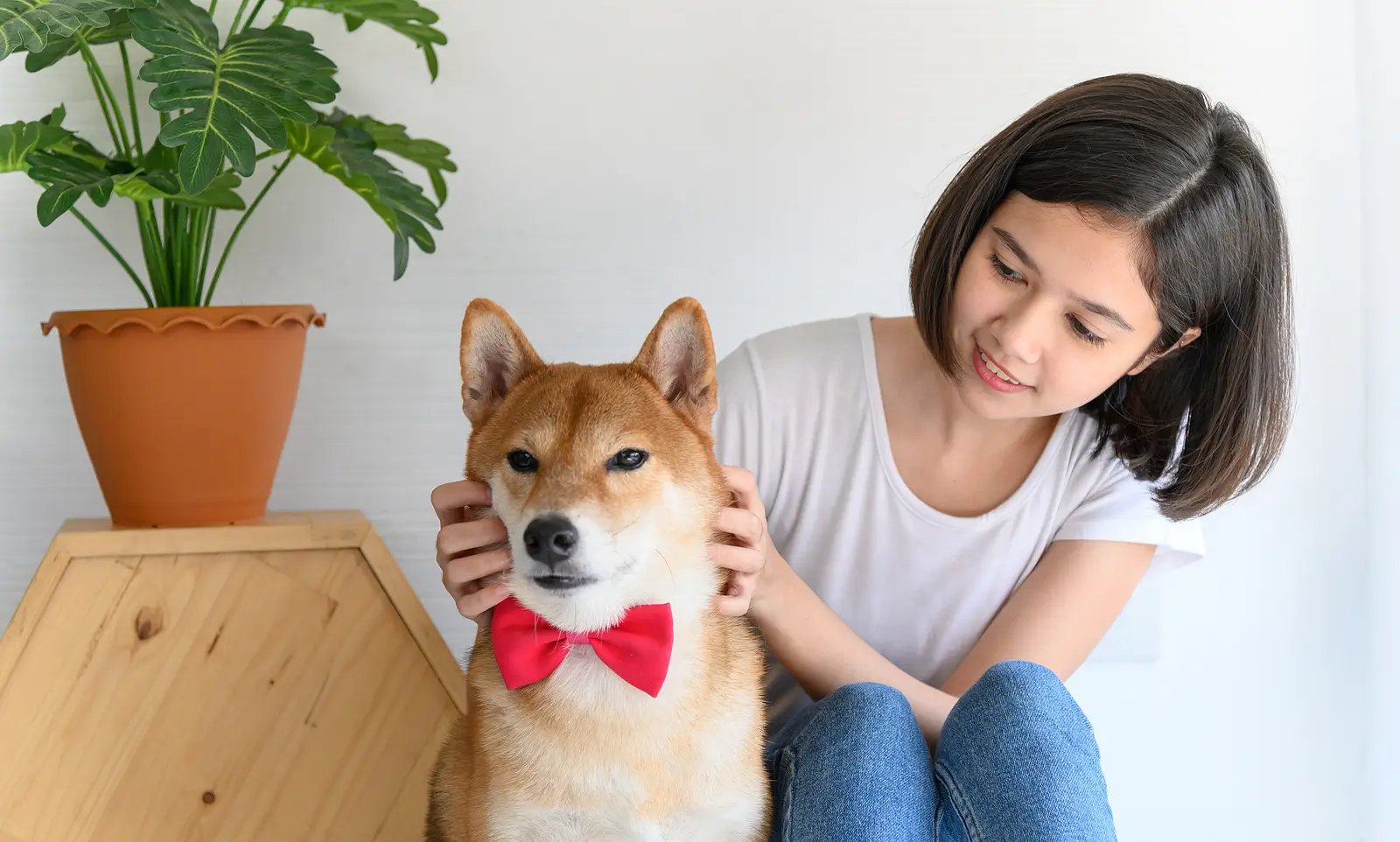 Pest Issues on the Rise? A 2026 Guide to Protecting Your Sarasota Rental Property